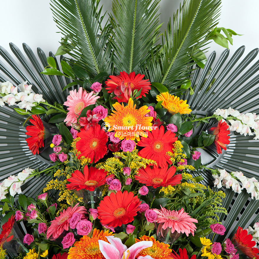 상세이미지