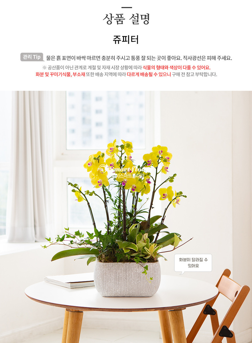 상세이미지