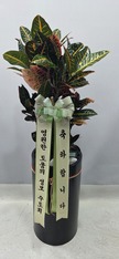 한호* 님 앞으로 배송된 상품입니다.