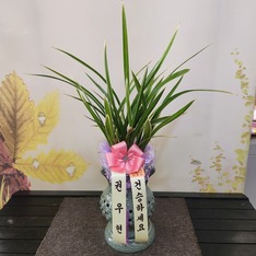 안준* 님 앞으로 배송된 상품입니다.